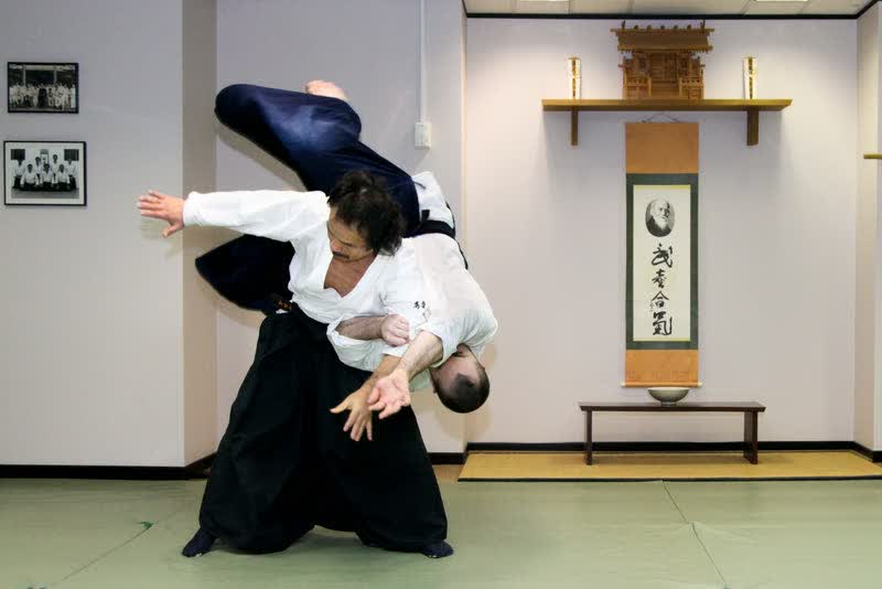 Uke taking a high fall