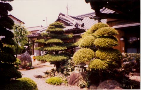 Saito Sensei&rsquo;s garden, at Iwama Dojo, 2002