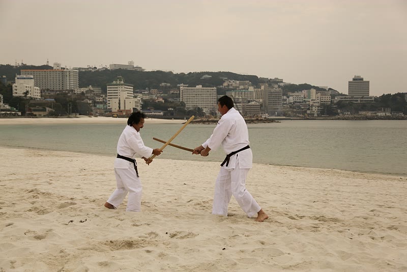 Takayasu Sensei and Peter demonstrating