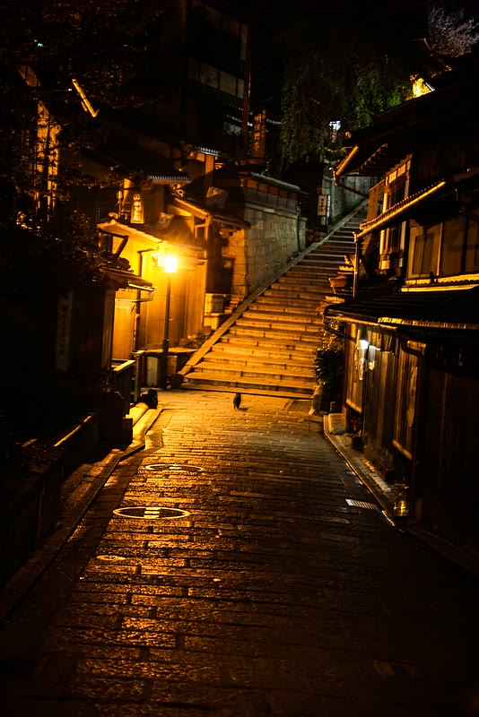 Kyoto at night