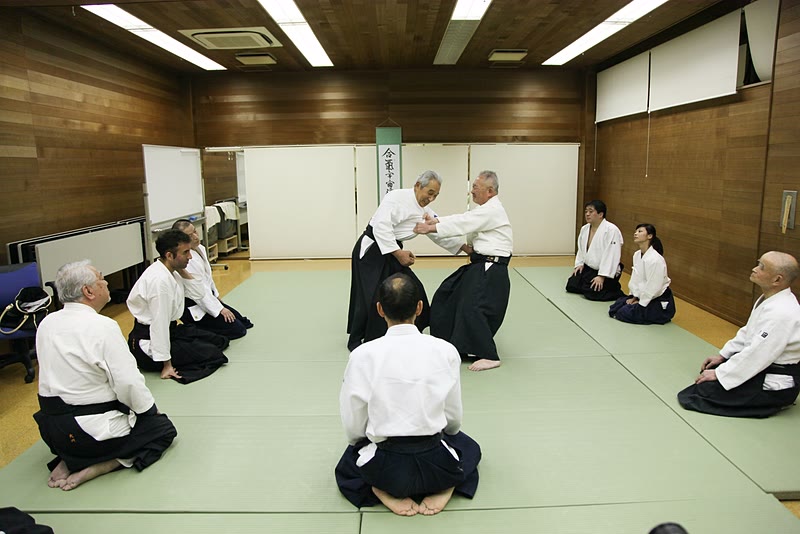 Hirosawa Sensei's Seminar in Tokyo (2012)