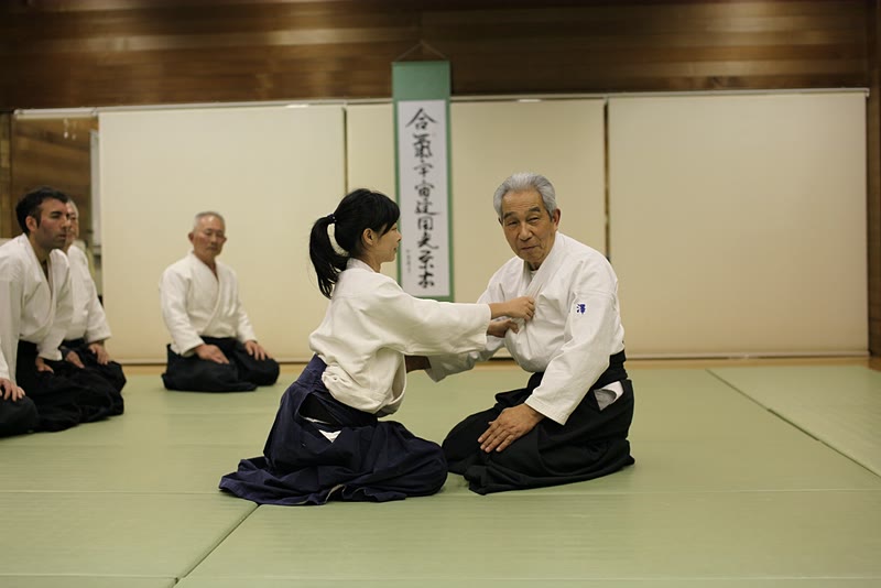 Hirosawa Sensei's Seminar in Tokyo (2012)